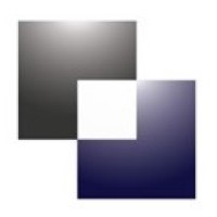 Bowman Williams logo - Similar company to Delaney Computer Services, Inc.