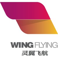 WING FLYING (TIANJIN)TECHNOLOGY CO.,LTD. logo - Similar company to Drone Summit Tech