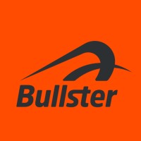 Bullster logo - Similar company to Nicoboco Oficial