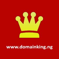DomainKing.NG logo - Similar company to Lytehosting