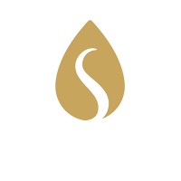 Divine Saunas logo - Similar company to Dynamic Cold Therapy