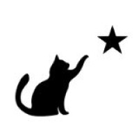 Black Star HR logo - Similar company to Uplift Consulting