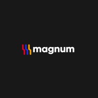 Magnum Egypt logo - Similar company to Ucan Academy For Programming