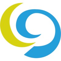 De Lucia Group logo - Similar company to Baobab Engineering Advisory