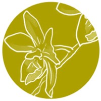 Orchis (Organisations changements et innovations sociales) logo - Similar company to Medresyst
