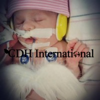 Cdh International Switzerland