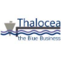 Thalocea Capital Partners logo - Similar company to Triber Global