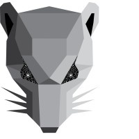 Anonimouse logo - Similar company to Ctvi