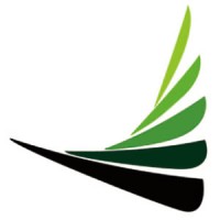 Diamond Wood China logo - Similar company to Cleantech Building Materials Plc