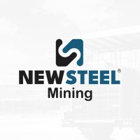 NewSteel Latam logo - Similar company to Domeyko Mining