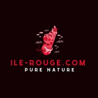 ile-rouge.com logo - Similar company to Nexacom Technologies