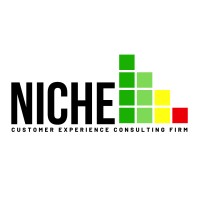 Niche Customer Experience Consulting Firm logo - Similar company to Afrissance