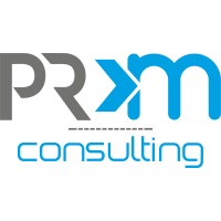PRM Consulting logo - Similar company to Prm Consulting Group, Inc.