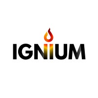 Ignium Consulting - putting purpose into practice to help you Scale logo - Similar company to Ignium Consulting S.L