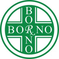 Borno Pharmacy logo - Similar company to Carmelcrest