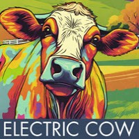 Electric Cow logo - Similar company to Soliquid