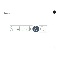 Sheldrick & Co. PLLC logo - Similar company to Ascendia Brands, Inc.