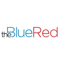 The Blue Red Digital Transformation and AI logo - Similar company to Zm Group