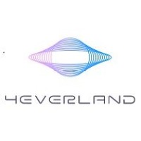 4EVERLAND Organization logo - Similar company to Dynamo Defi