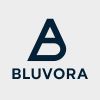 Bluvora consulting logo - Similar company to Fna Skill Tech (Part Of Venkat Tech Global Solutions Private Limited)