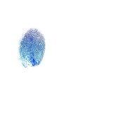 Blue Spot Concepts