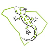 South Carolina Virtual Charter School - Official Page logo - Similar company to Colearn Academy