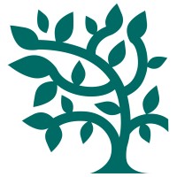 Copper Beech Institute logo - Similar company to Om | Opulent Mindfulness