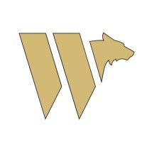 WISECONSULT logo - Similar company to Wisecons Tecnologia