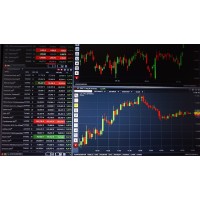 Day Trading Info logo - Similar company to The Cryptopreneur Code Chronicles