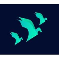 Birdy Ventures logo - Similar company to Dispatch News Desk Pakistan