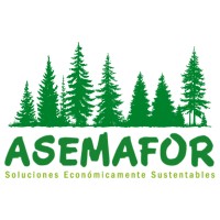 Asemafor SpA. logo - Similar company to Latwind