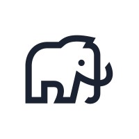 Mammoth logo - Similar company to Wavy