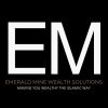 Emerald Mine Wealth Academy logo - Similar company to Radicorp It Solutions