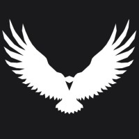 ENDEAVOR logo - Similar company to Beyond-Development.Org