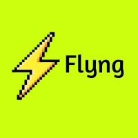 Flyng Inc logo - Similar company to Dhruvil Shah