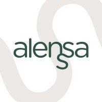 Alenssa Consultora logo - Similar company to Data Next