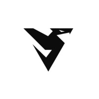 Vellon X logo - Similar company to Green B2C
