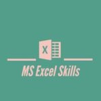 MS Excel Skills logo - Similar company to Excel Tips And Tricks