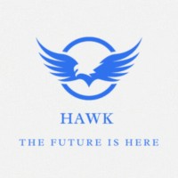 Hawk software company logo - Similar company to Global Software Technology Corporation (Gstc)