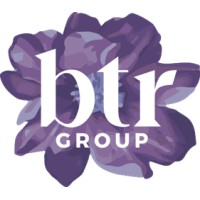 BTR Group🟣 EOR, PEO & Accounting in the Nordics logo - Similar company to Celltium Inc