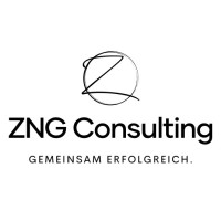 ZNG Consulting logo - Similar company to Gadplan