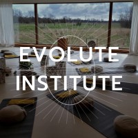 Evolute Institute for Inner Development logo - Similar company to Swiss Society For Psychedelic Medicine