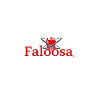 Faloosa logo - Similar company to Afa Solving Srl