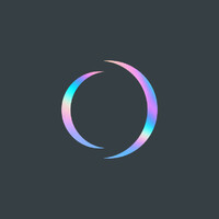 Open Process Ventures logo - Similar company to Oversea Business Consulting