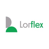 Lorflex logo - Similar company to Avidsen