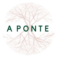 Rede A Ponte logo - Similar company to Open Knowledge Brasil