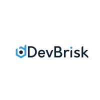 DevBrisk logo - Similar company to Oso Software Solutions