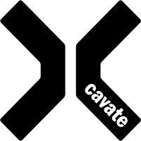 Xcavate LLC logo - Similar company to Dfns