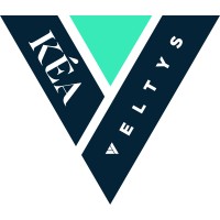 Veltys logo - Similar company to Citizing Consulting