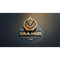 Virtual Asset Auditing Hub Ltd logo - Similar company to Nextgen Knowledge Solutions Private Ltd.